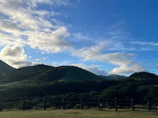 睦睦與山